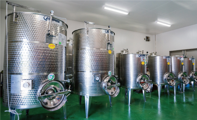 Consistent winemaking from soil preparation to bottling