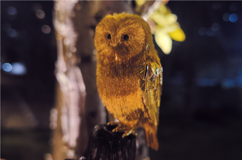 ジャパンゴールドvol.6