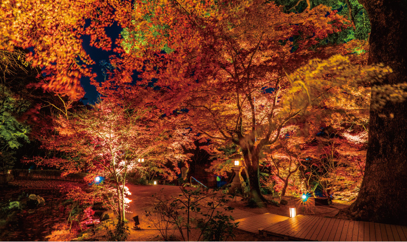宝満宮竈門神社
