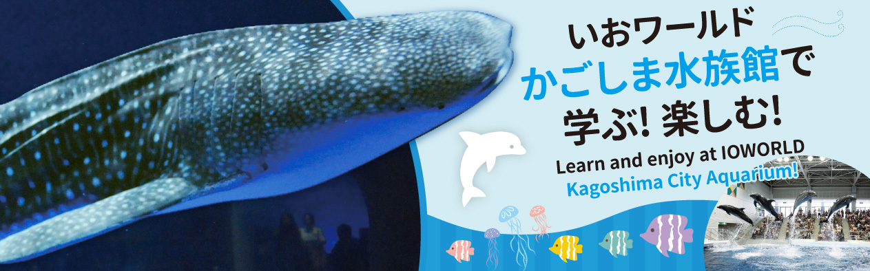 いおワールド かごしま水族館　vol.8