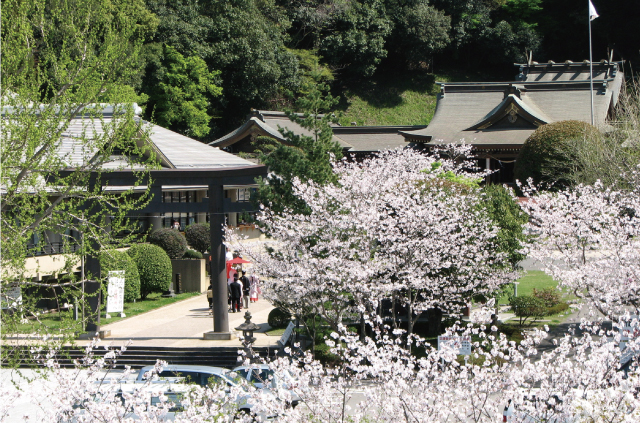 鹿児島縣護國神社 Vol.13