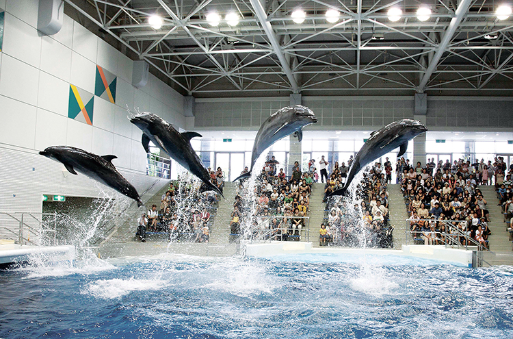 いおワールド かごしま水族館　vol.9