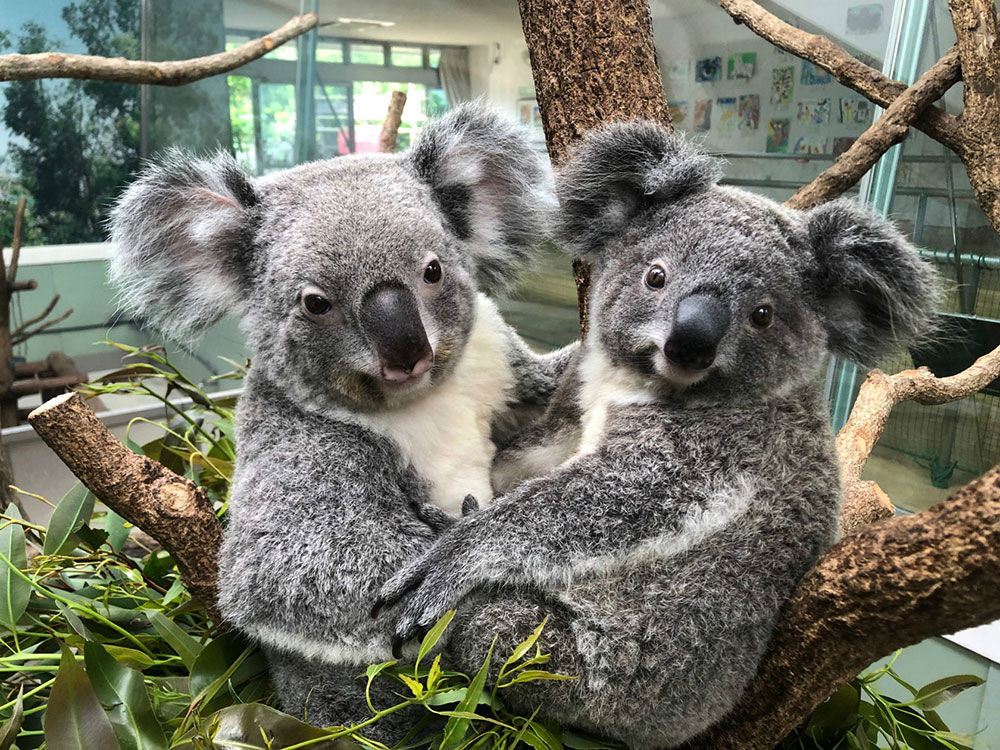 平川動物公園　vol.9