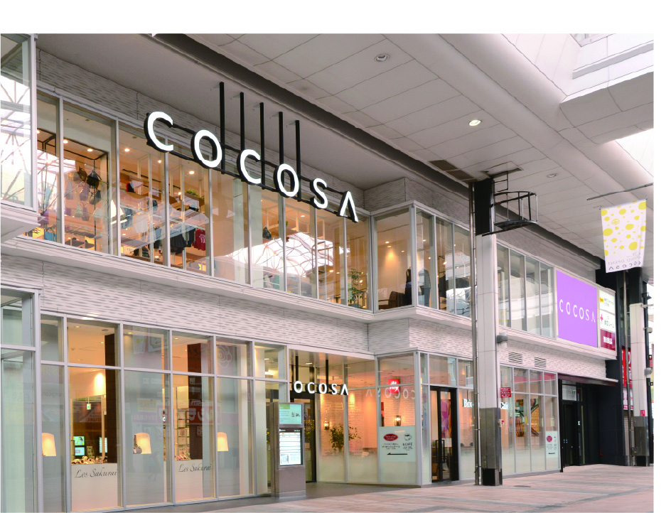 COCOSA vol.6