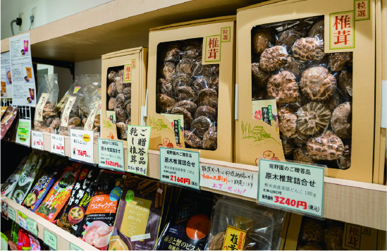 お茶の堀野園