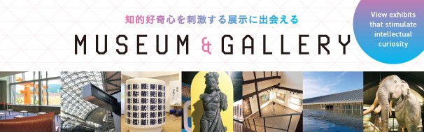 MUSEUM & GALLERY