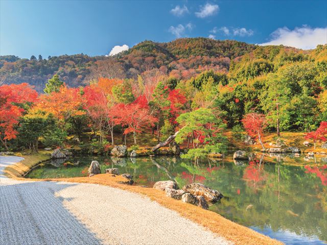 天龍寺_vol.21_エリア