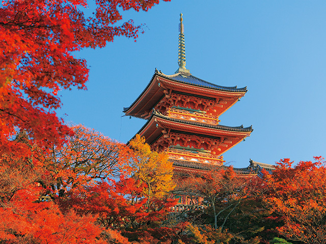 清水寺　vol20　グラビア