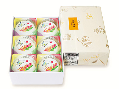Gion Pcchiri, 6 Pieces, 2,980yen　*Packages may change