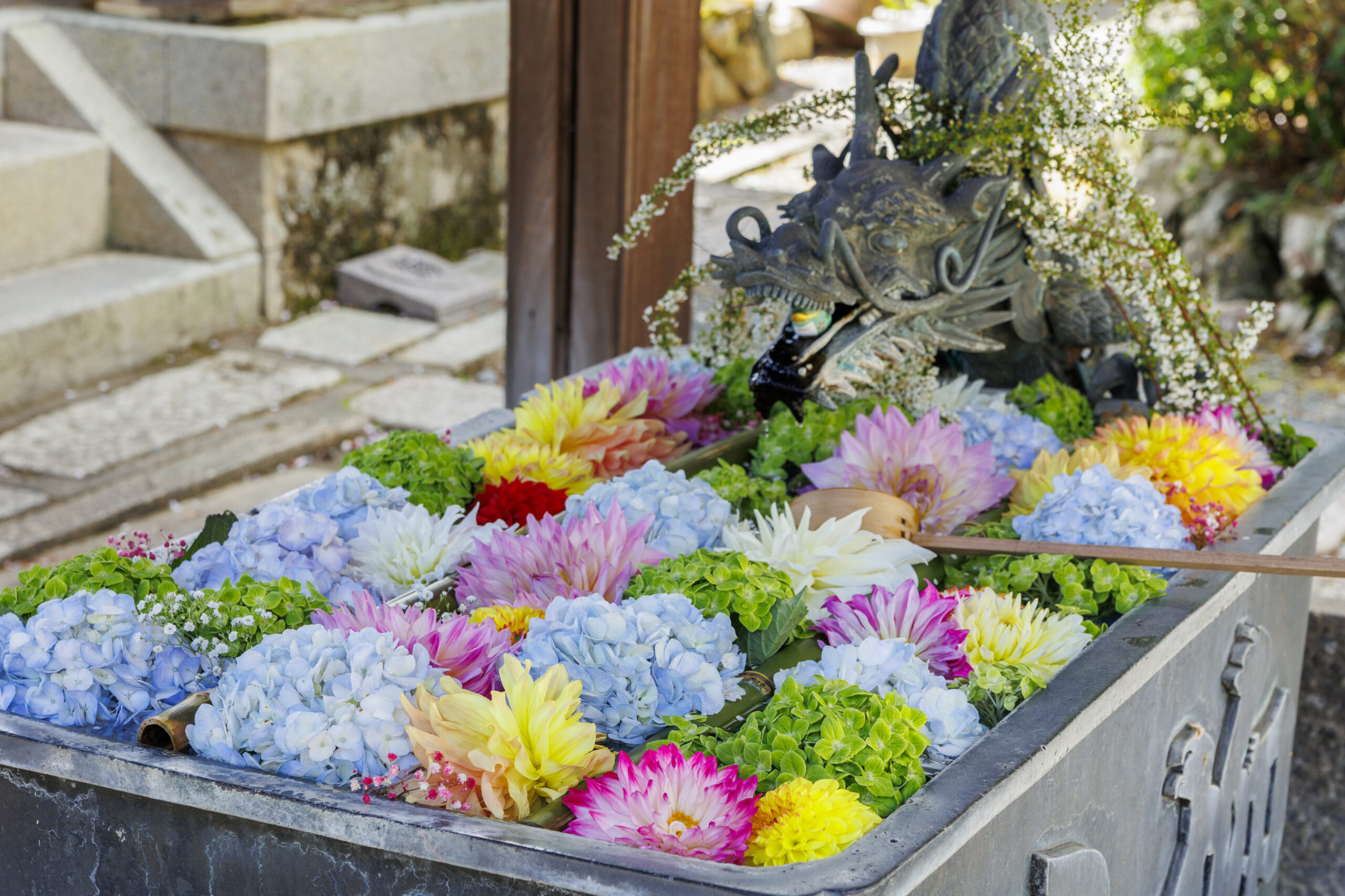 山門の脇の手水舎を四季折々の花が埋め尽くす「龍手水」。