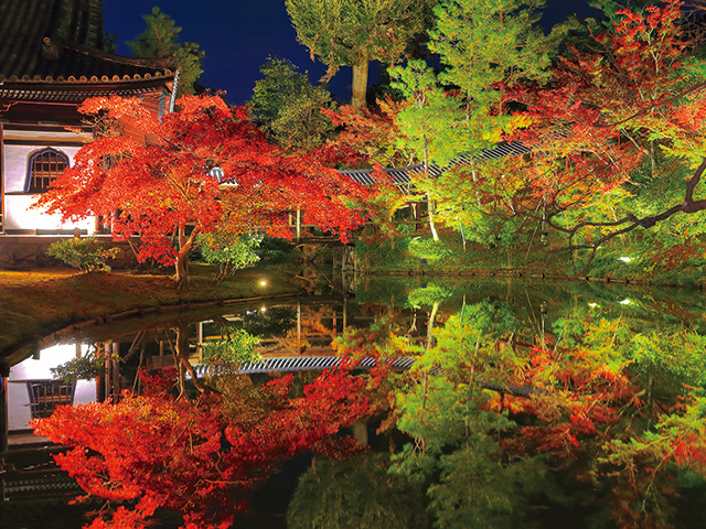 高台寺　vol17　グラビア