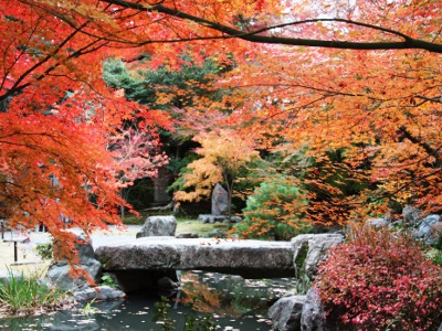 境内の錦景苑は紅葉の名所として名高い。