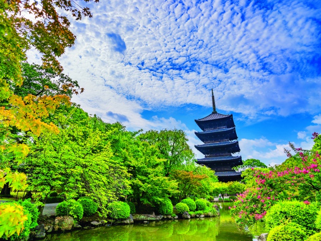東寺（教王護国寺） | 京都観光コンシェルジュ