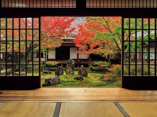 建仁寺　vol17　グラビア