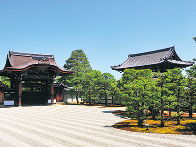 The south garden of Karesansui (dry landscape garden) on the south side of the Shinden (Emperor's residence) is characterized by the beauty of the samon. Sakon no Sakura and Ukon no Tachibana are planted.