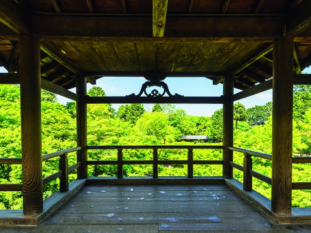 東福寺　vol16　グラビア