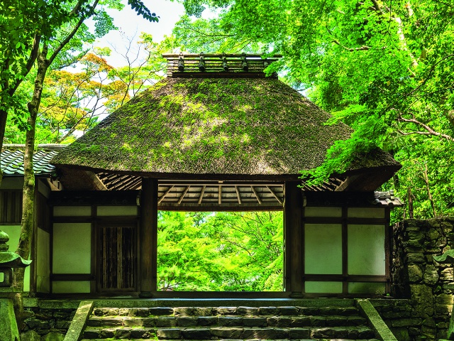 法然院 京都観光コンシェルジュ