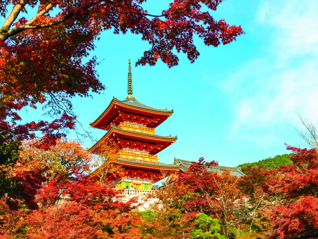 清水寺　vol17　グラビア