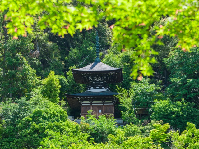 永观堂第22卷凹版印刷