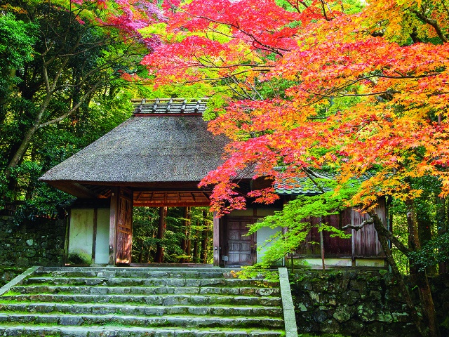 法然院　vol17　グラビア