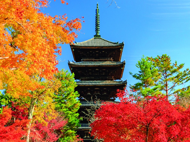 総本山仁和寺　vol17　グラビア