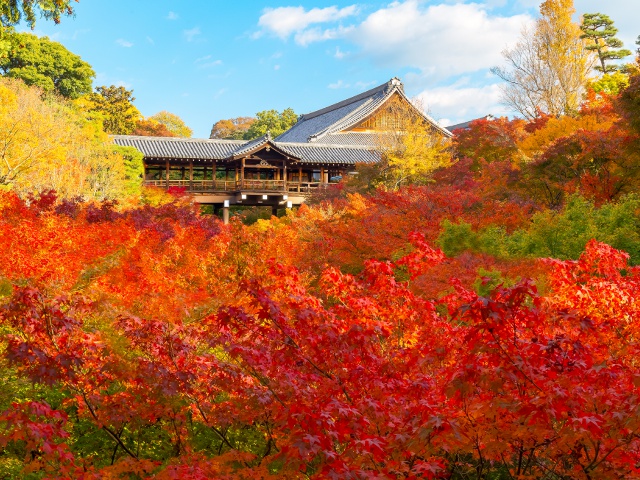東福寺_vol.23_伏見エリア