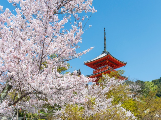 清水寺vol.22区域