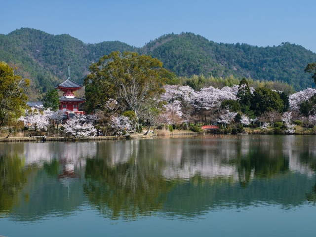 旧佐贺皇居大觉寺_vol.22_区域
