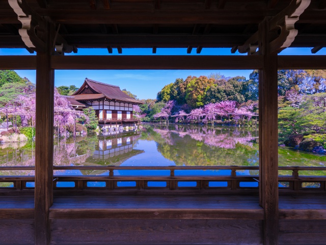 平安神宮　vol22　グラビア