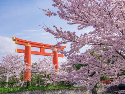 四季折々の自然を楽しめる平安神宮付近は散策コースとしても有名。