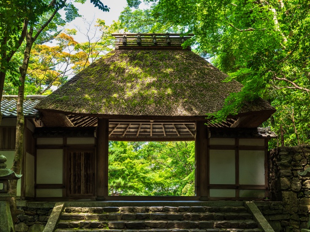 法然院　vol22　グラビア