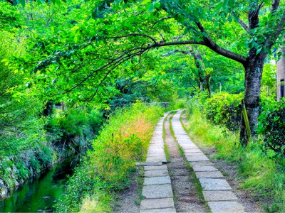 春は桜、初夏は新緑、秋は紅葉と、四季折々の美しい景色を楽しませてくれる。