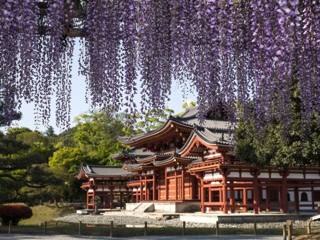 平等院　vol22　グラビア