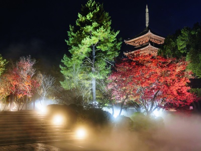 The Kondo Hall, a national treasure, and other buildings are lit up along with an artificially created sea of clouds. This was first held in the fall of 2023.

＜Autumn / Autumn Foliage > Illumination Schedule
Fridays, Saturdays, Sundays, Mondays, and holidays from mid-October to early December 2024
7pm-9pm (registration starts at 6.30pm / closes at 8.30pm)
Admission 2,800 yen (Free for high school students and younger)