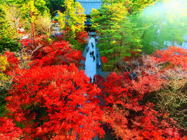 南禅寺　Vol21　グラビア