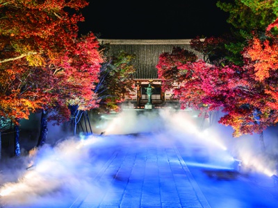 春の桜や秋の紅葉の時期は、高さ約36mの五重塔との共演が楽しめる。
写真提供：総本山仁和寺