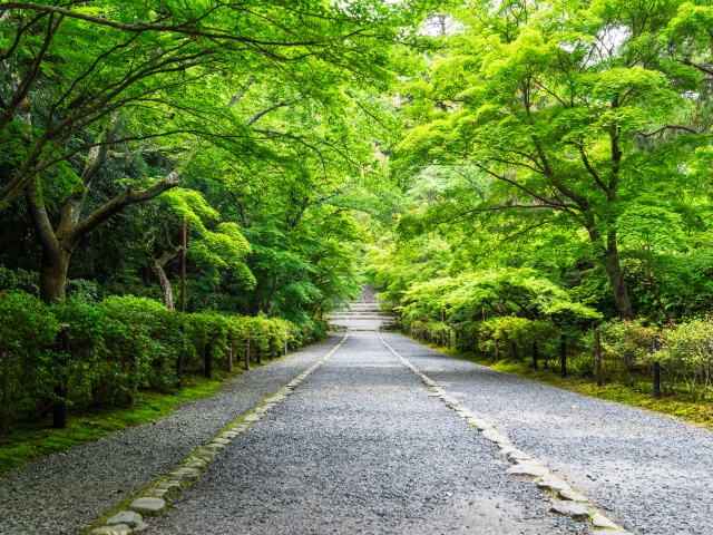 二尊院_vol.22_エリア