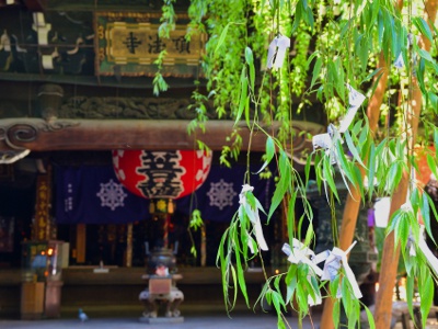 Many people tie fortunes with their wishes on the willows in the temple grounds, which are called 'matchmaking willows.'.