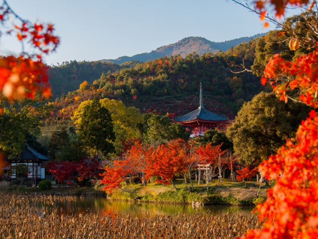 旧嵯峨御所 大本山大覚寺_vol.21_エリア