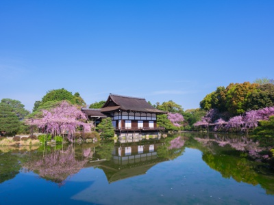 約3万㎡の池泉回遊式庭園は、明治から昭和初期に活躍した作庭家・小川治兵衛が手掛けた。　