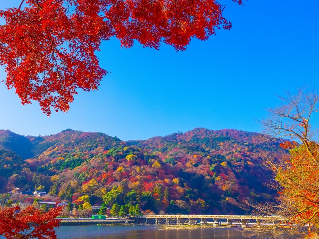 渡月橋_vol.23_エリア