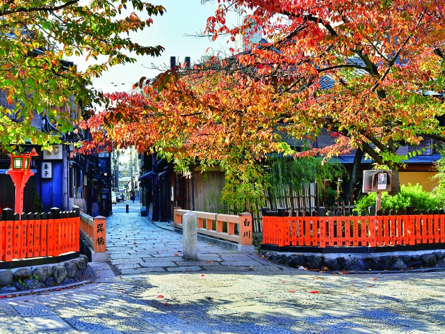 切り通しと呼ばれる小路に架かる巽橋。桜や紅葉の時期は一段と風情がある。