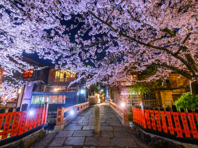 白川南通／花見小路　vol22　グラビア