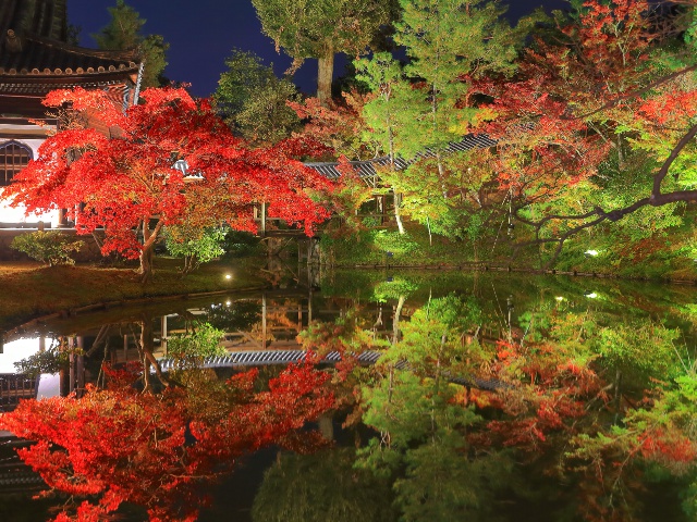 高台寺_vol.21_エリア