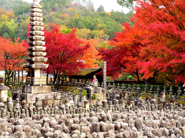 あだし野念仏寺_vol.21_お寺＆神社特集