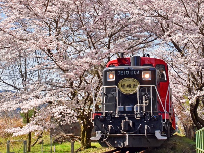 The magnificent scenery seen from the train window is appealing. It is better to make a reservation from the official website.
