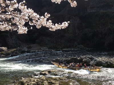 In 2017, the boat handling techniques were designated as intangible cultural property. The skillful commentary also entertains passengers.