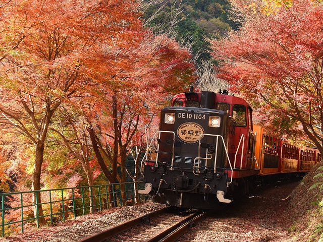 嵯峨野トロッコ列車 vol23 タイアップ