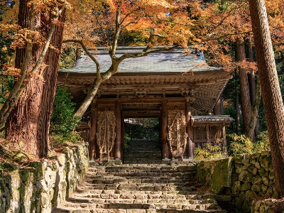 秋季特別展 「百済寺と近江の仏教美術―百済寺秘仏公開によせて―」2026. 9/26 SAT－12/6 SUN