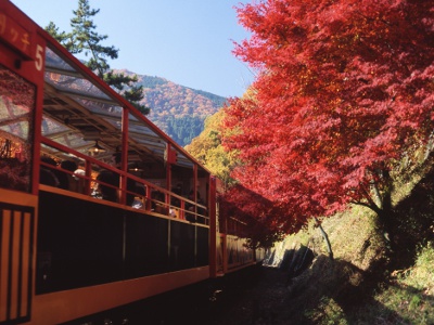 The magnificent scenery seen from the train window is appealing. It is better to make a reservation from the official website.